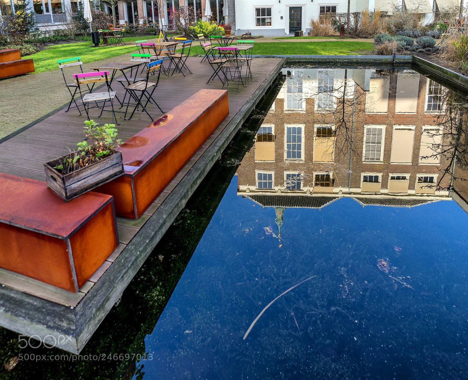 Sony a7 sample photo. Reflections in nuts garden photography