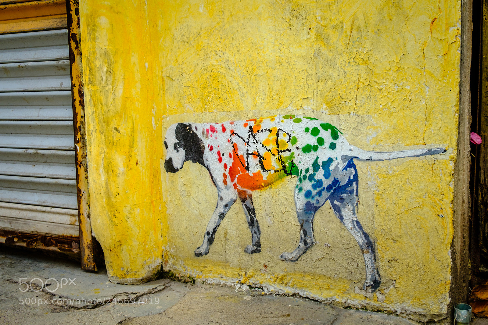 Fujifilm X-T2 sample photo. Wall art i photography