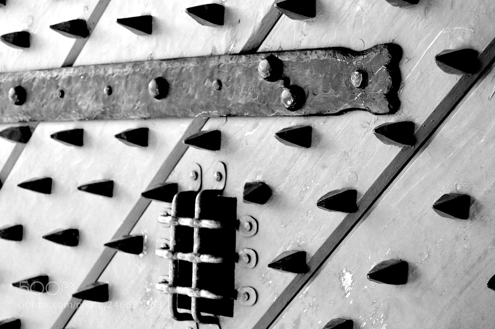 Nikon D3200 sample photo. Spiked barrier photography