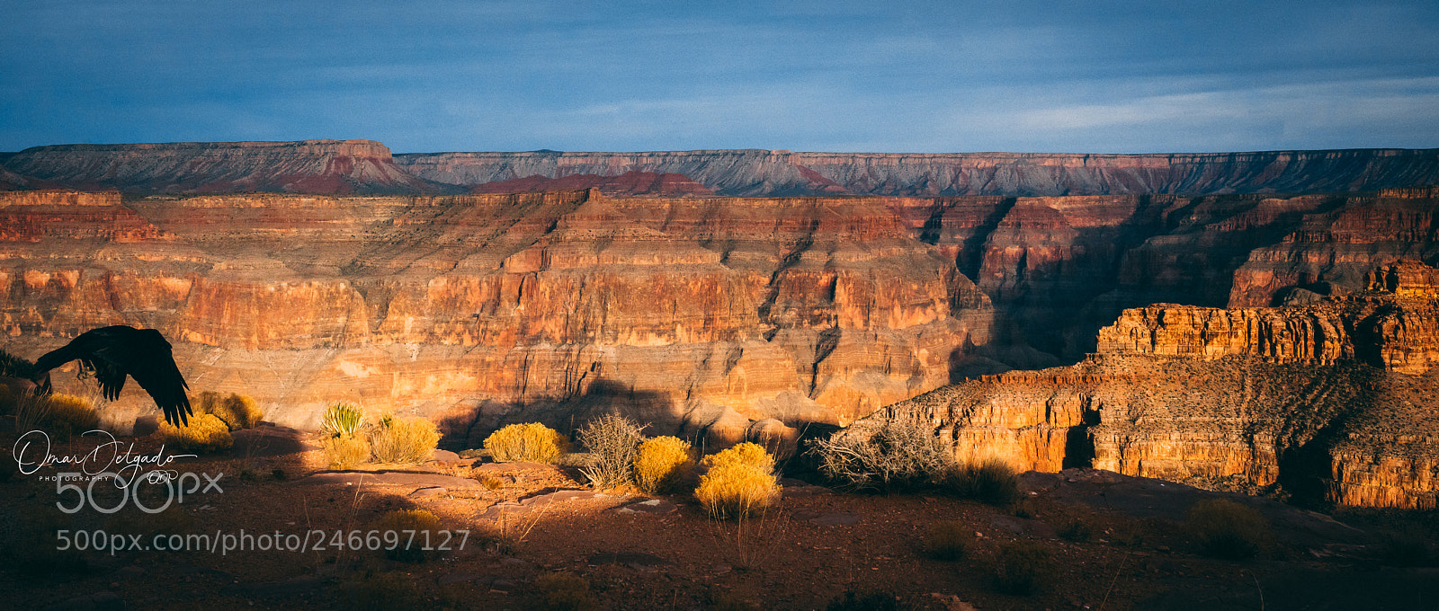 Sony a7R III sample photo. Grand canyon photography