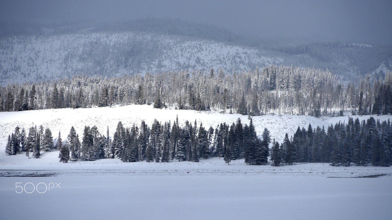 Nikon D810 sample photo. Yellowstone lake photography