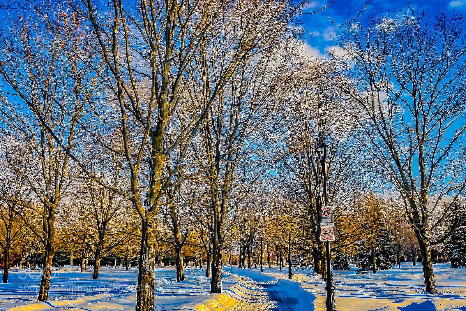 Canon EOS 600D (Rebel EOS T3i / EOS Kiss X5) sample photo. Lasalle parc photography
