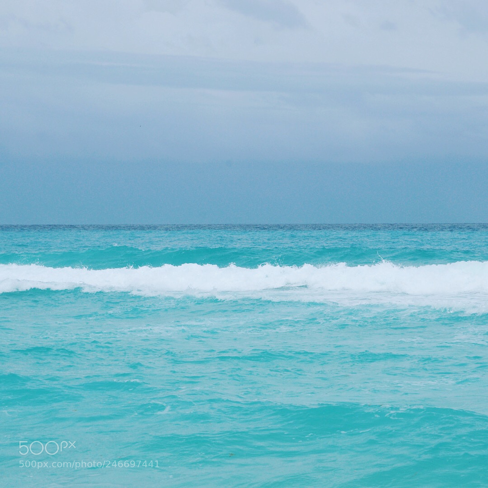 Nikon D5100 sample photo. The big blue photography