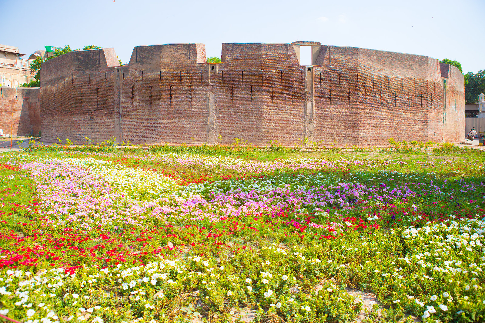 Canon EOS-1D X sample photo. Old fort in lahore photography