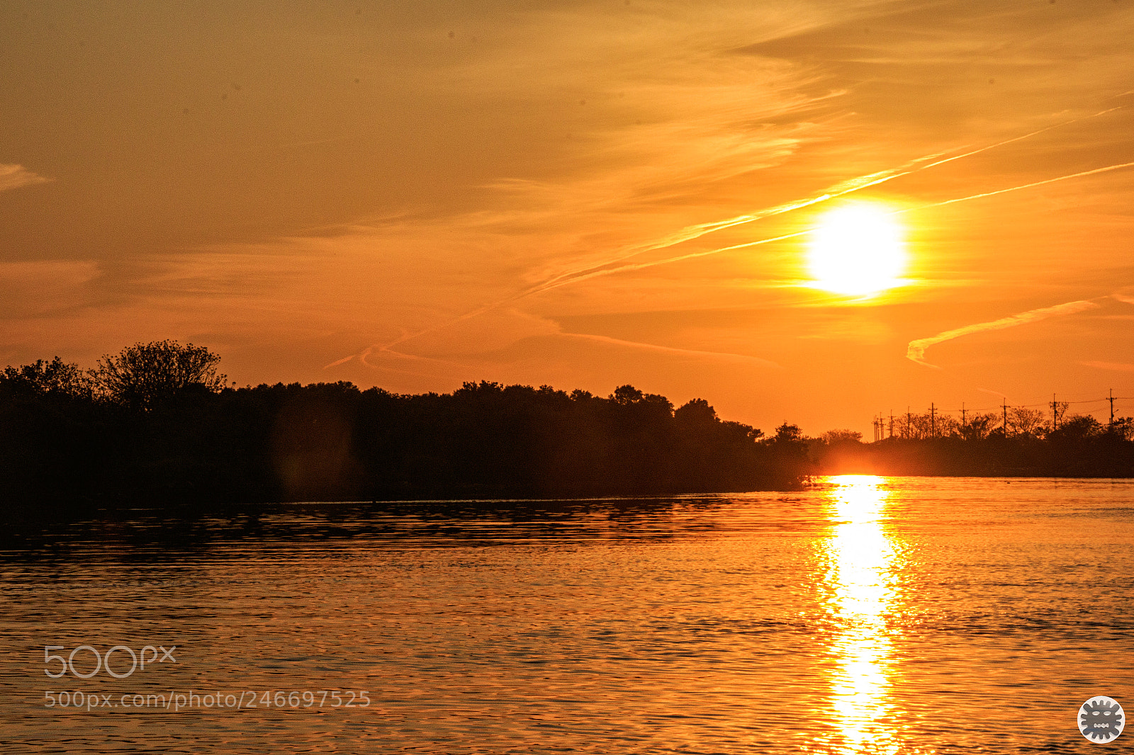 Canon EOS 7D Mark II sample photo. Untitled photography