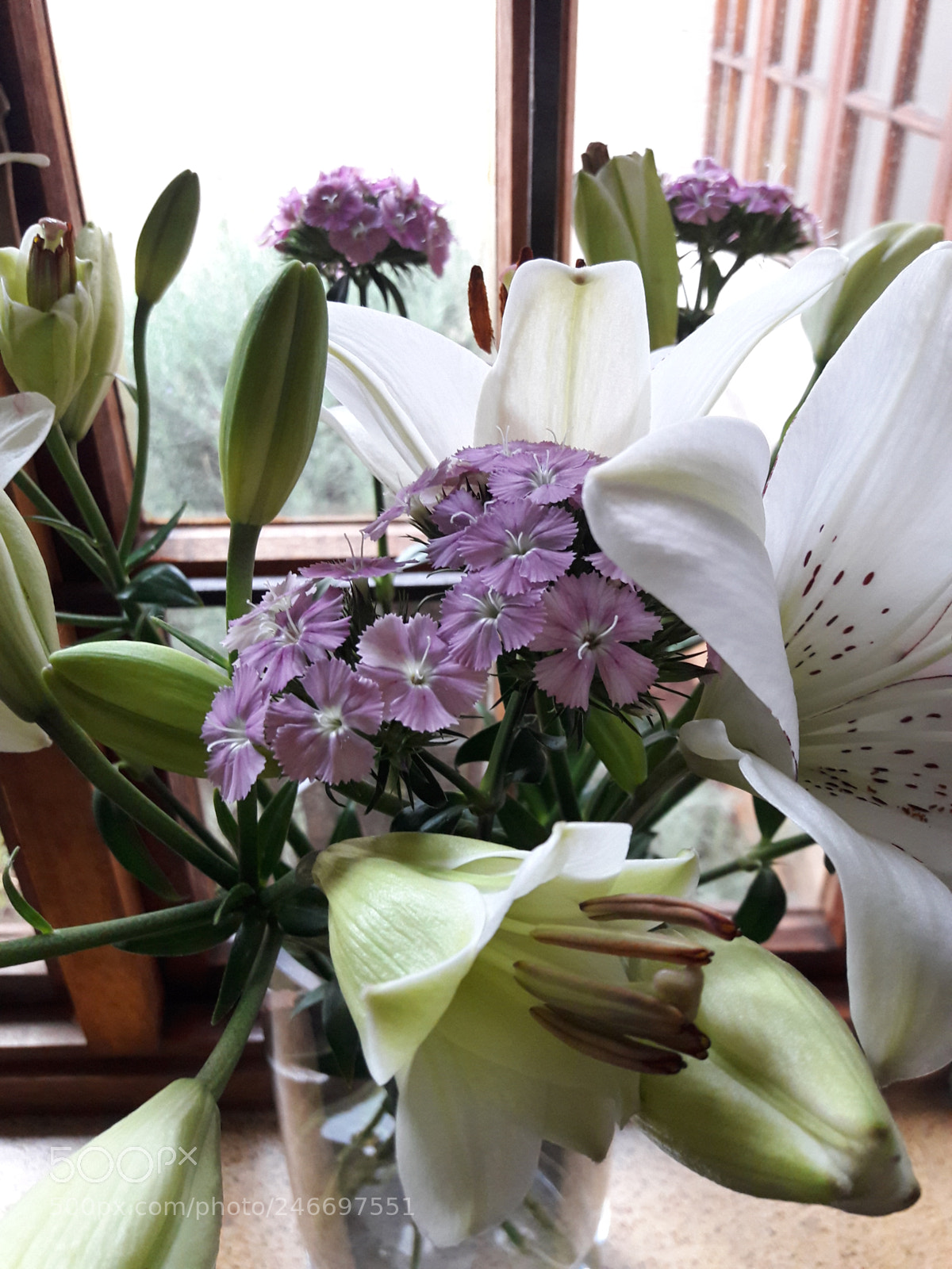 Samsung Galaxy J7 sample photo. Home photography