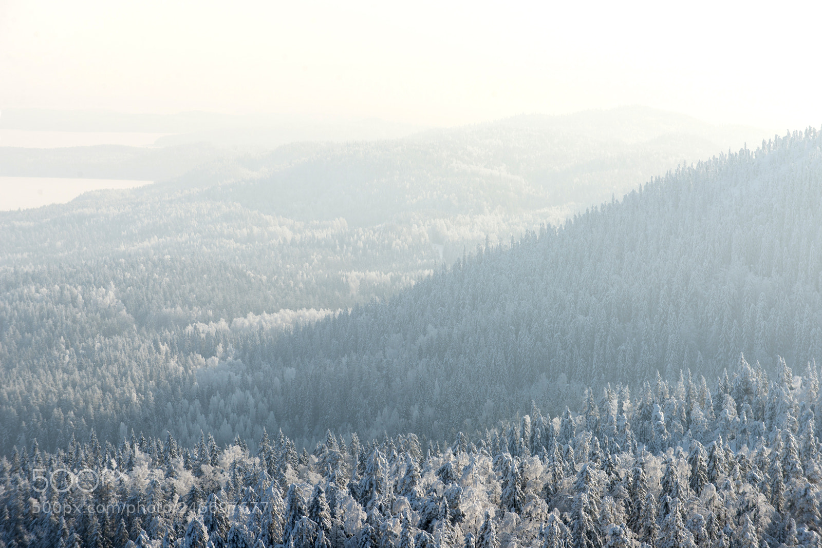 Nikon D600 sample photo. White hills photography