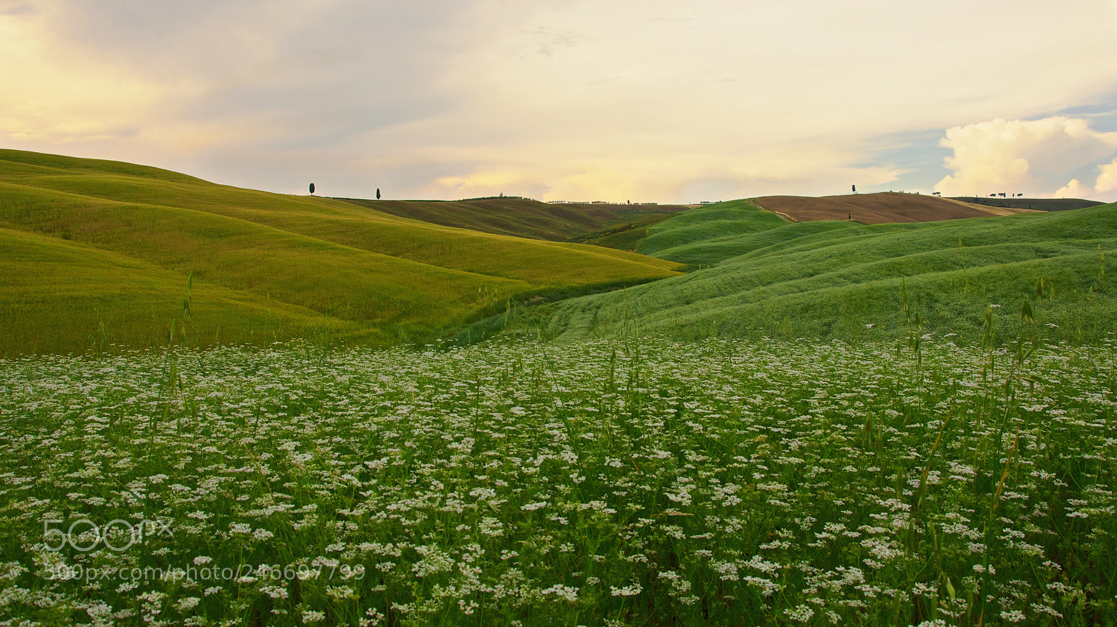 Nikon D90 sample photo. Campagna toscana photography