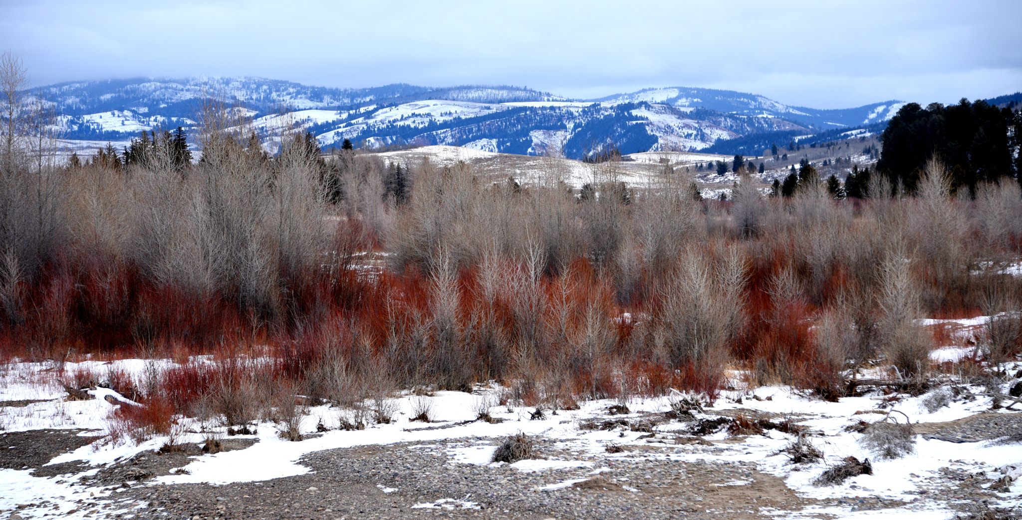 Nikon D810 sample photo. Grand teton in winter photography