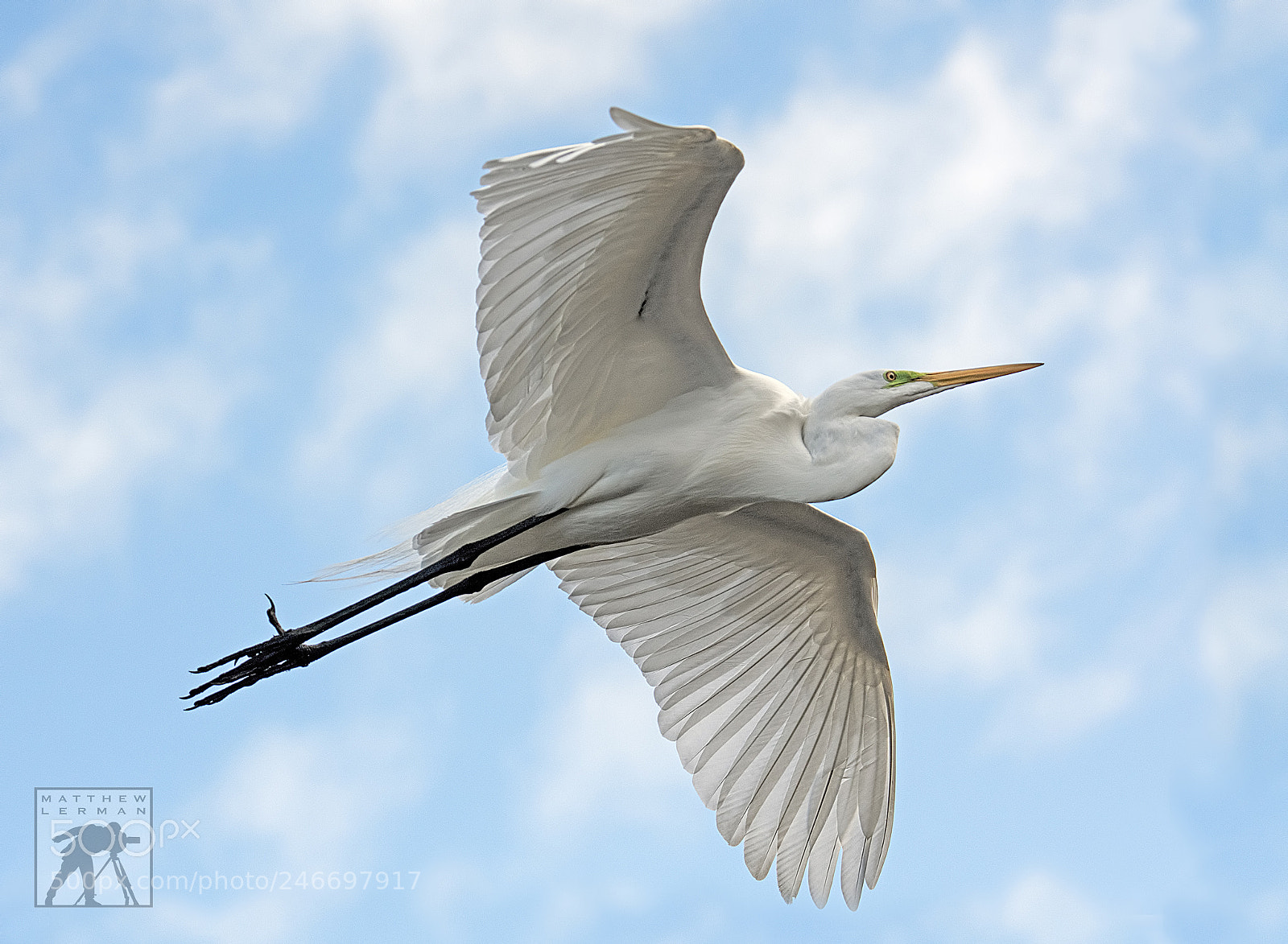 Nikon D810 sample photo. Flight photography