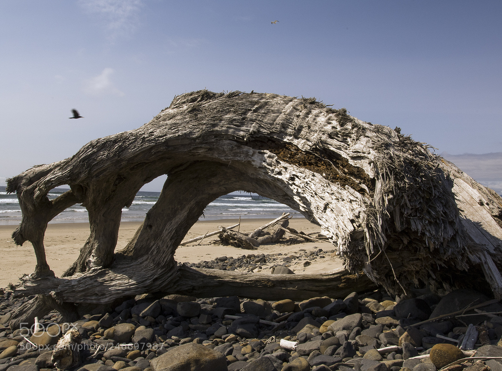 Nikon D2X sample photo. Windowsofthesea photography