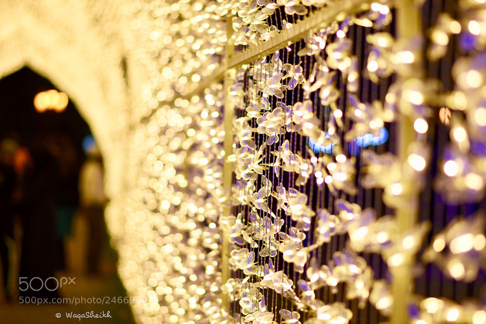 Nikon D7200 sample photo. Sharjah light festival photography
