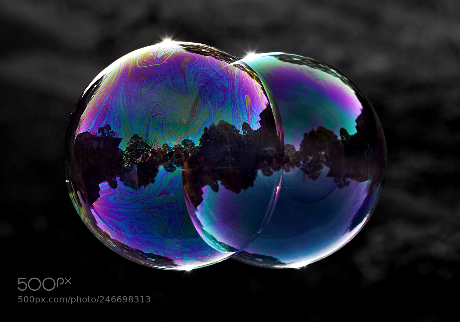 Canon EOS 650D (EOS Rebel T4i / EOS Kiss X6i) sample photo. Double bubbles photography