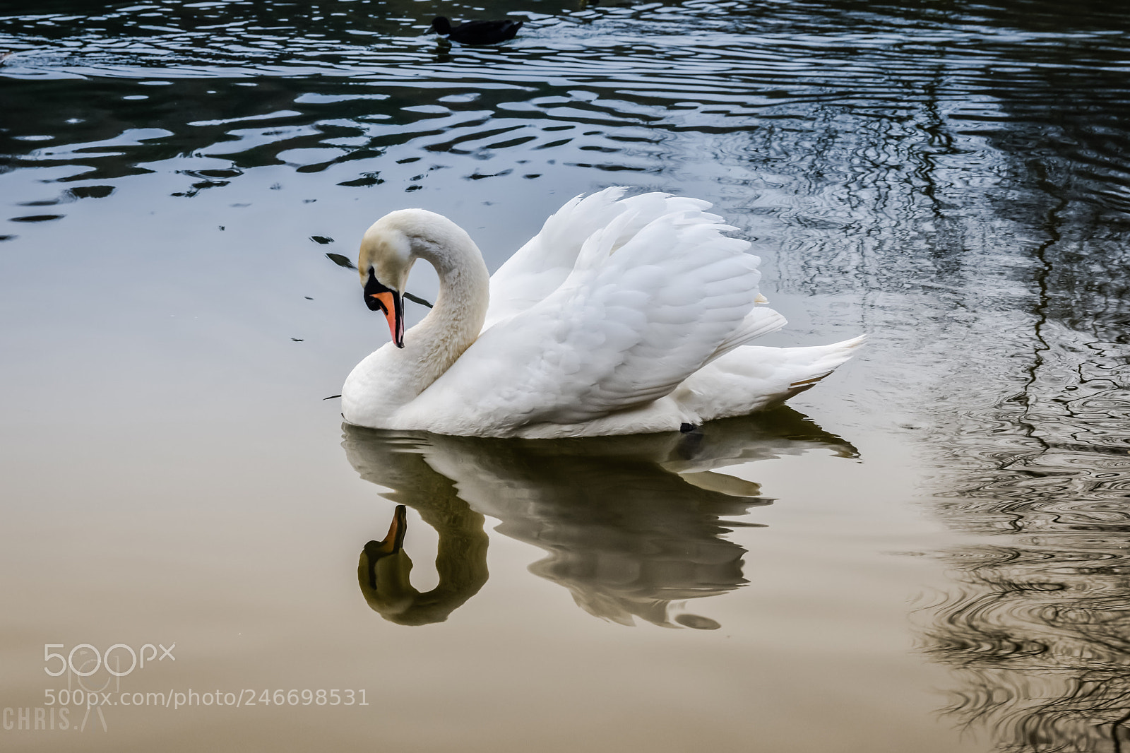 Nikon D7200 sample photo. Lambton etc photography