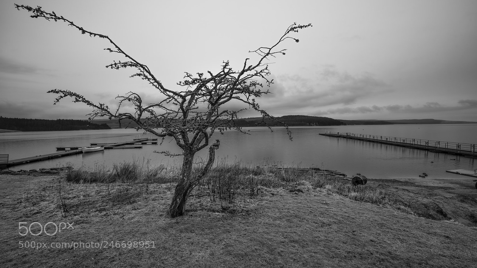 Sony a7R II sample photo. Old man photography