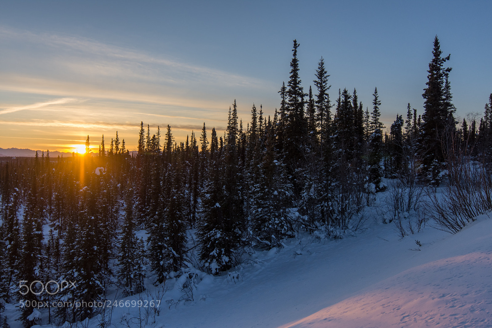 Nikon D7200 sample photo. Alaska at her best photography