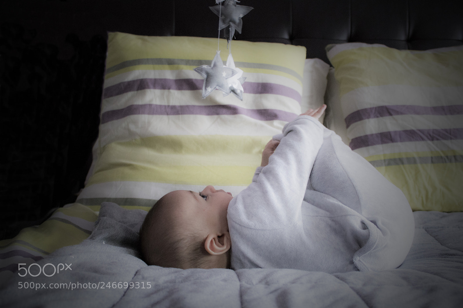 Canon EOS 750D (EOS Rebel T6i / EOS Kiss X8i) sample photo. Catch the stars photography