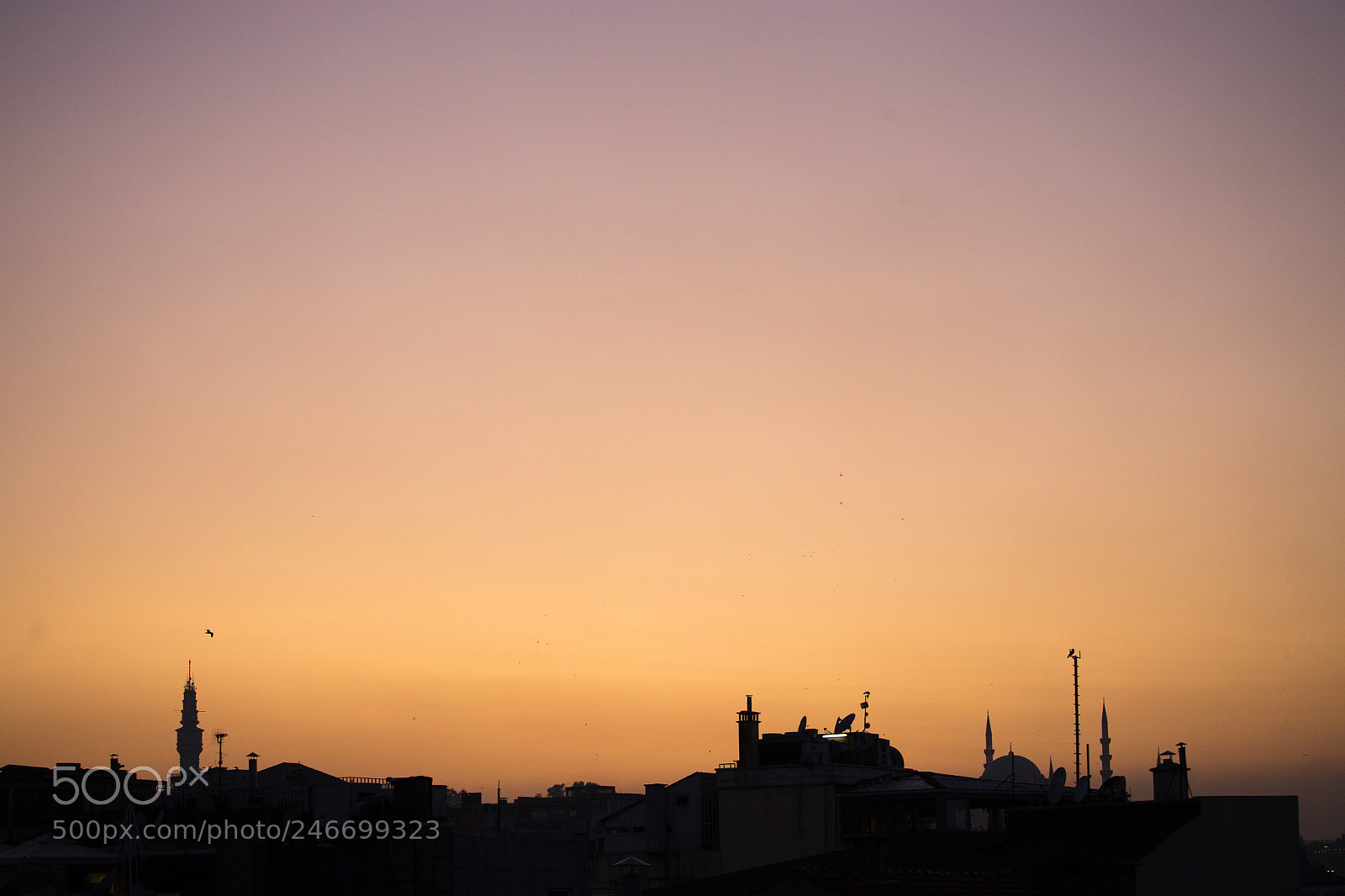 Canon EOS-1D X sample photo. Cool sunset photography
