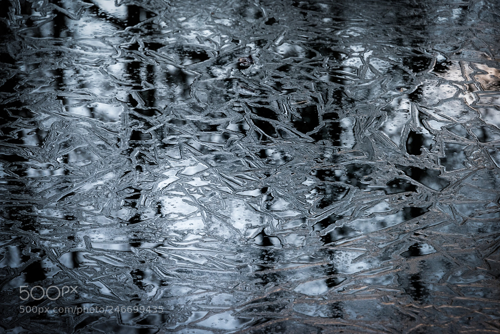 Nikon D810 sample photo. Eis auf dem alten photography