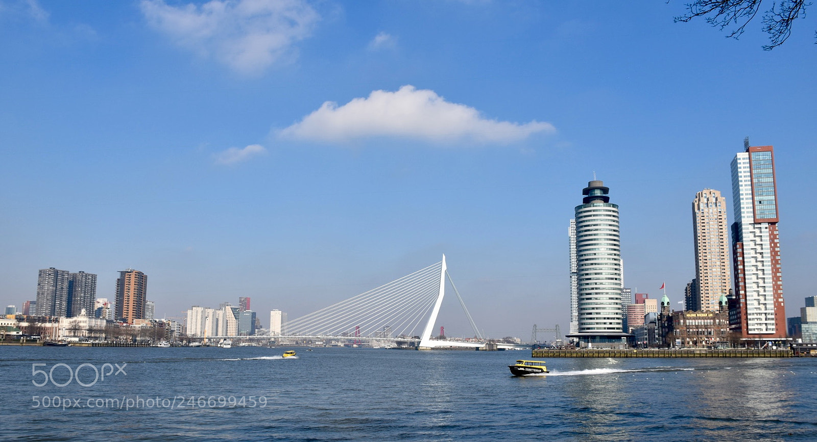 Nikon D5600 sample photo. There are more bridges photography
