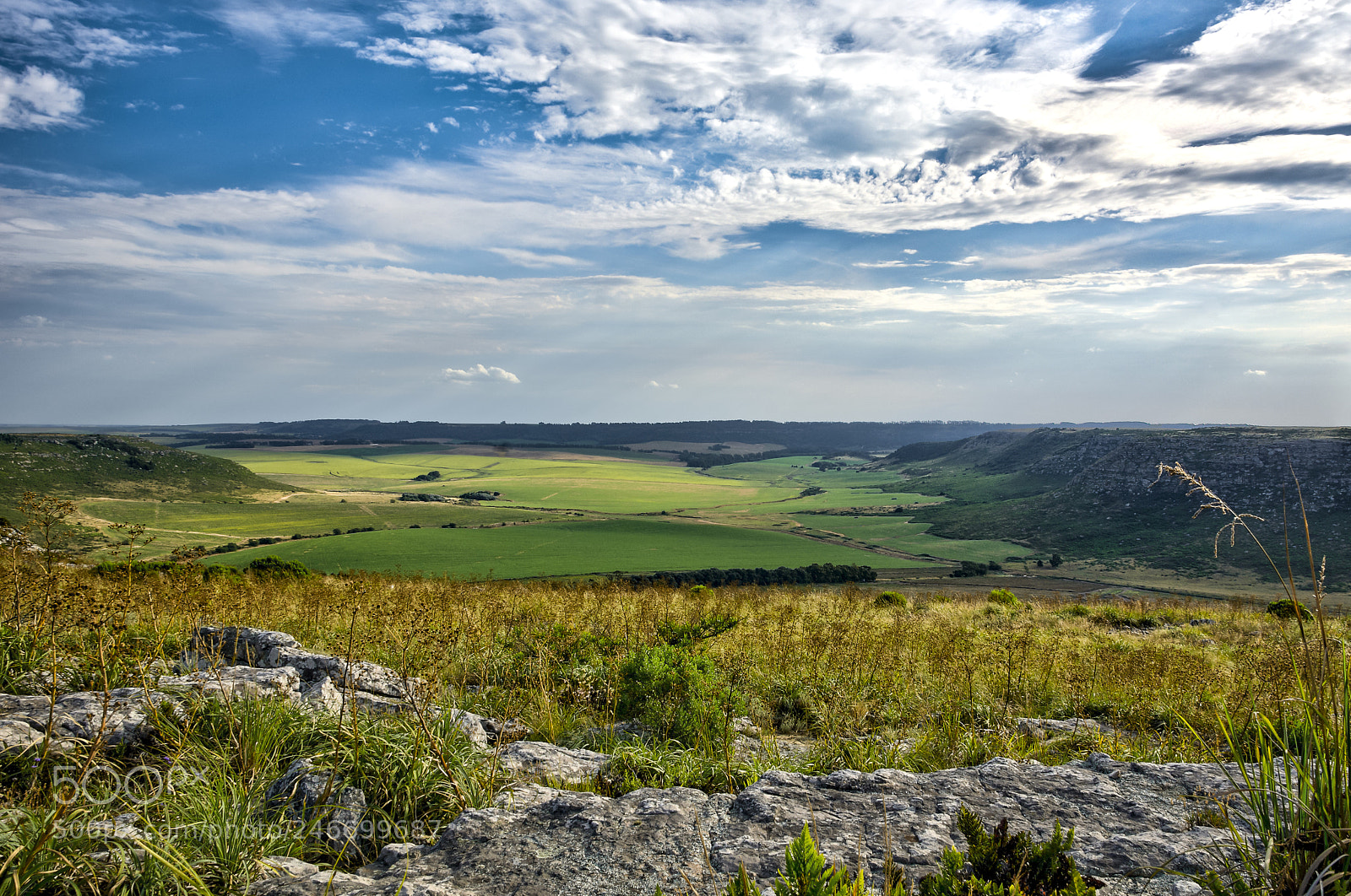 Nikon D7100 sample photo. From the top photography