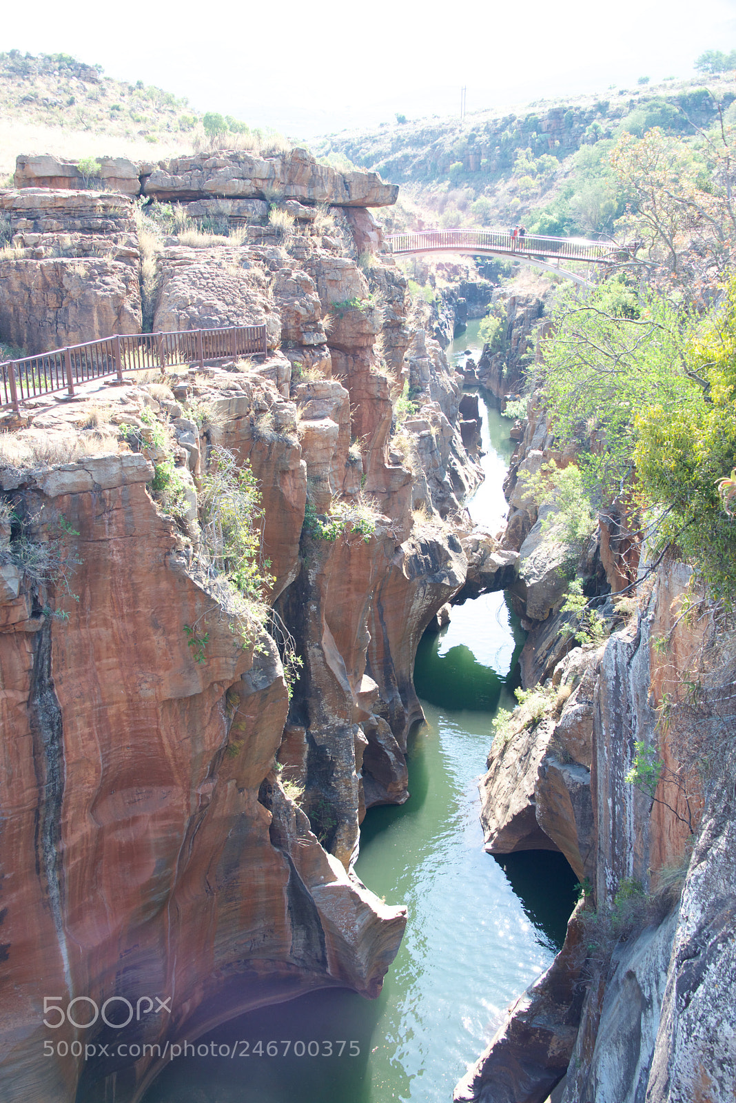 Nikon D600 sample photo. Kruger nat park photography