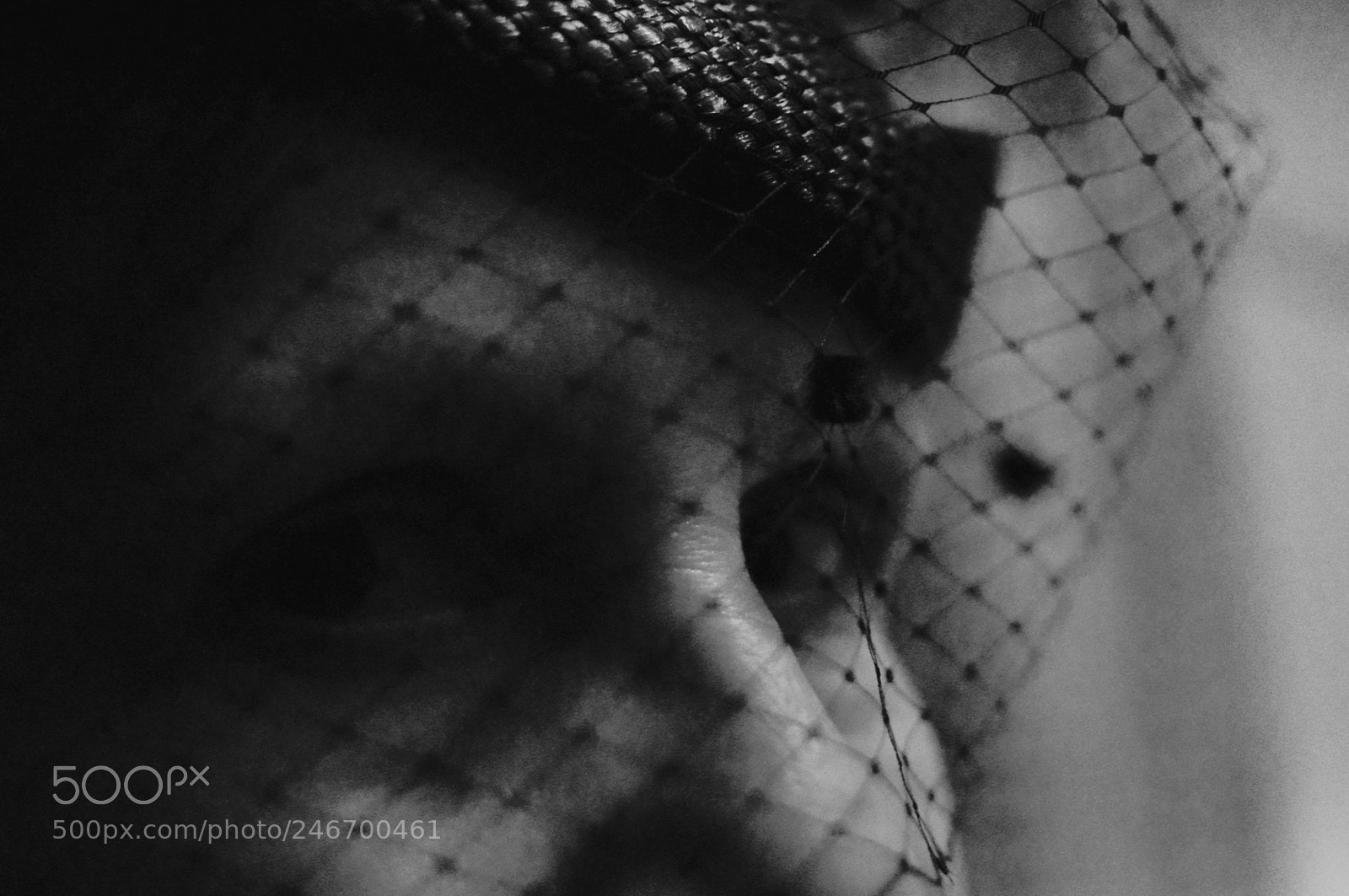Nikon D3200 sample photo. Le regard photography