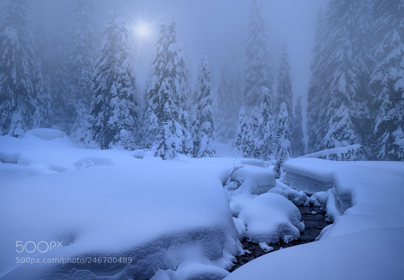 Sony a7R III sample photo. From mt vranica with photography