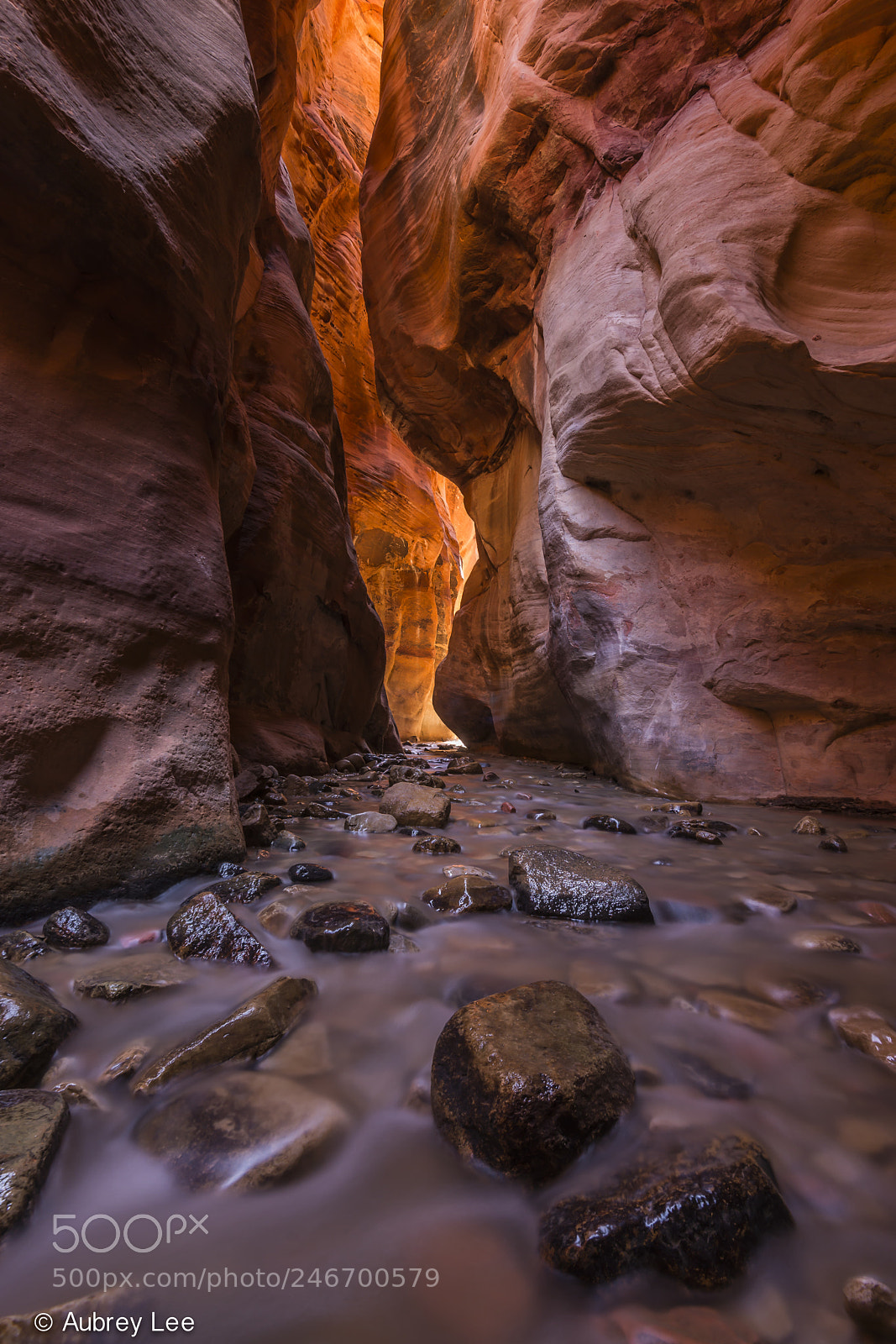 Nikon D610 sample photo. Streamed photography