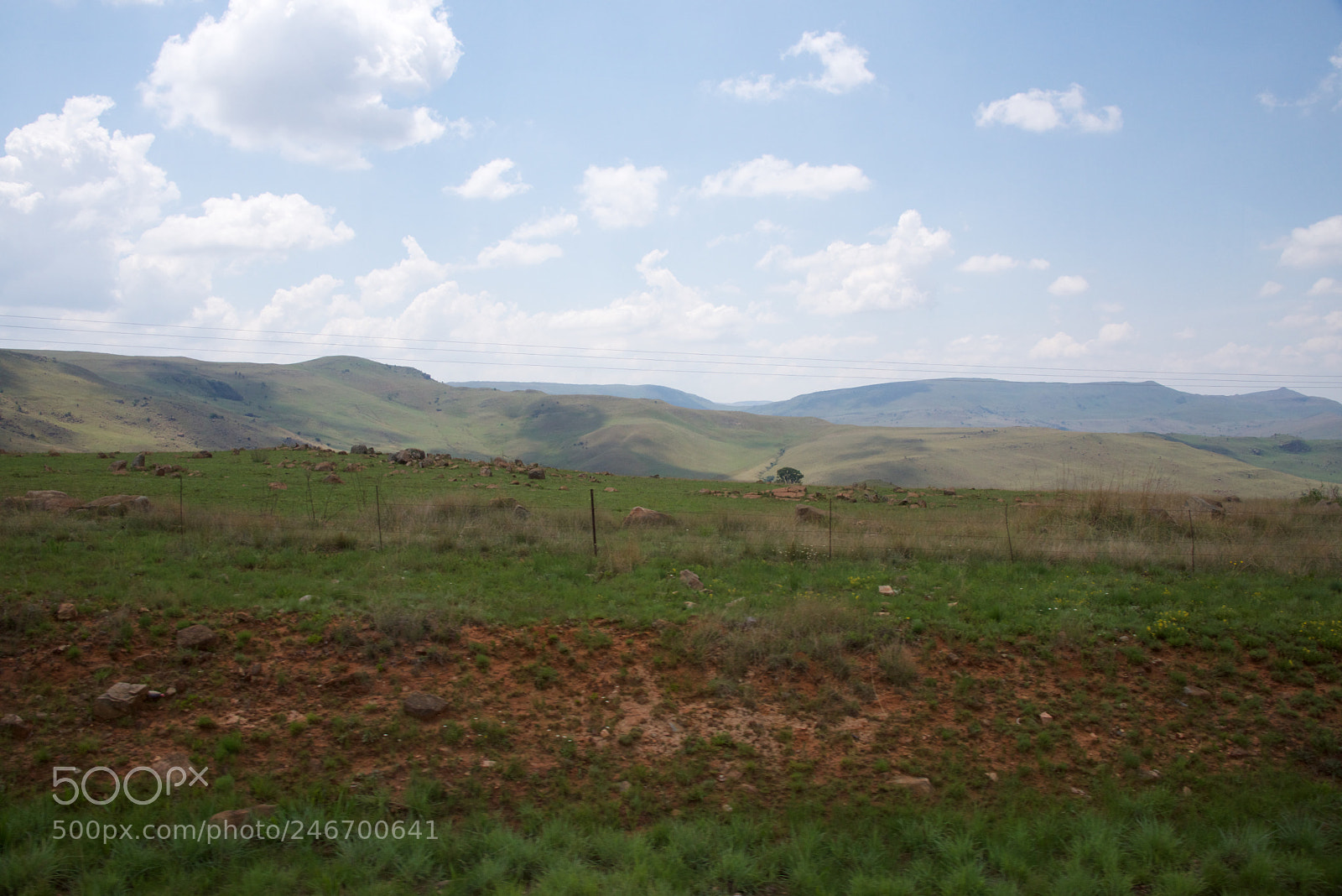 Nikon D600 sample photo. Kruger nat park photography