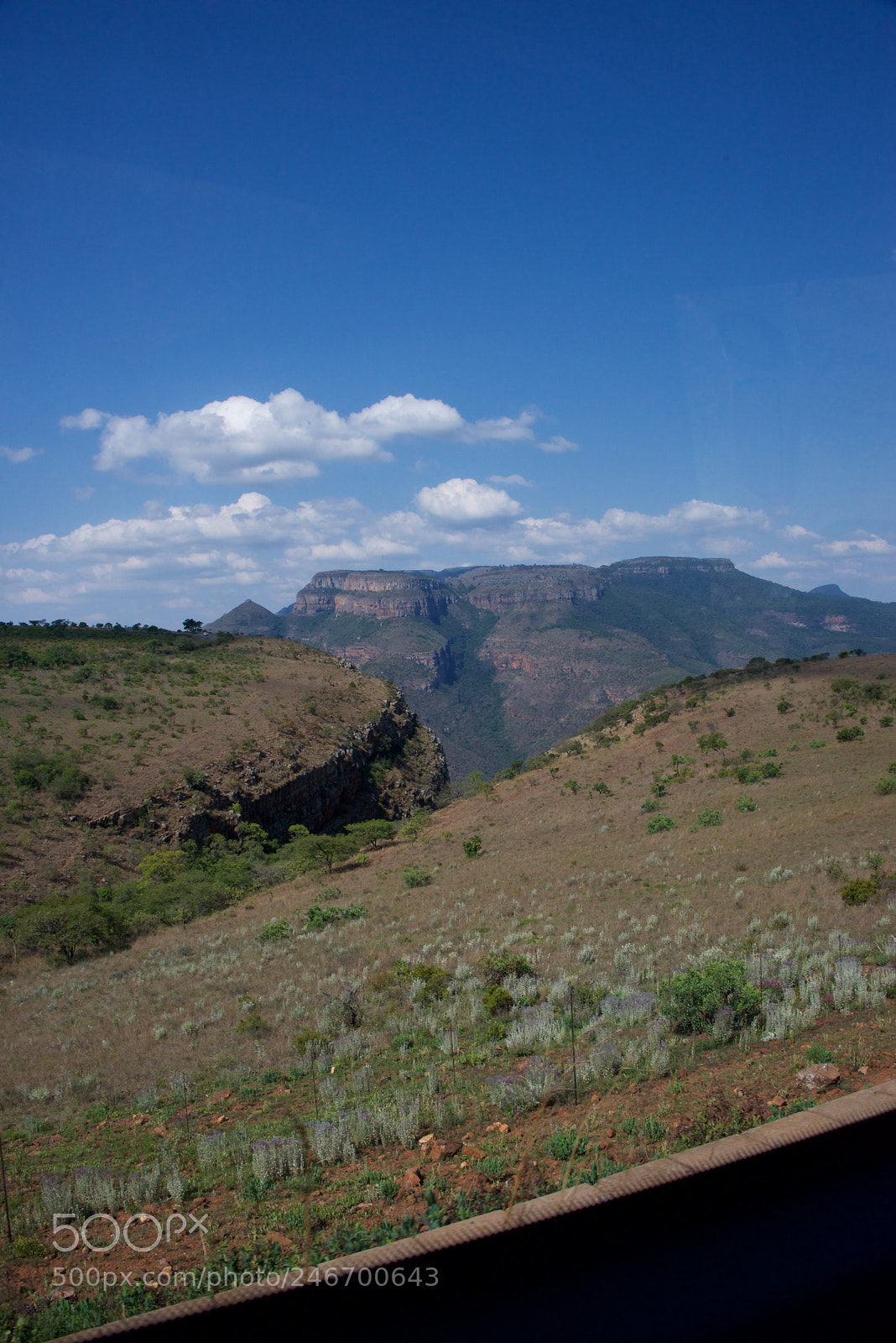 Nikon D600 sample photo. Kruger nat park photography