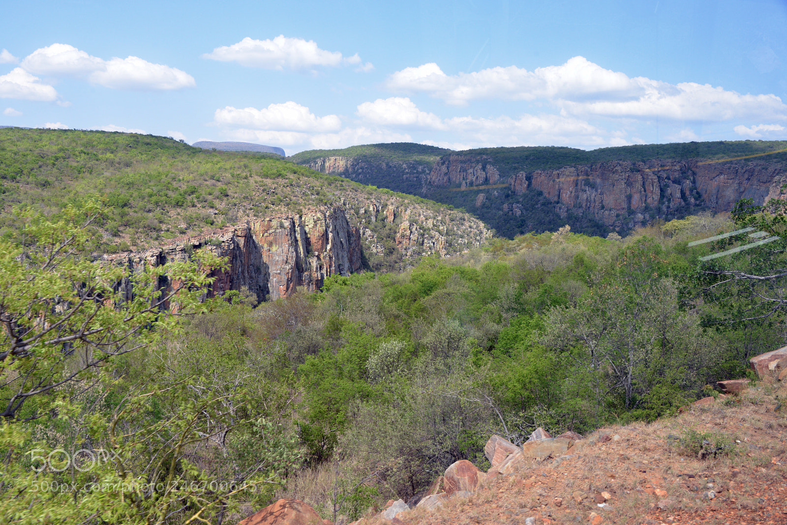 Nikon D600 sample photo. Kruger nat park photography