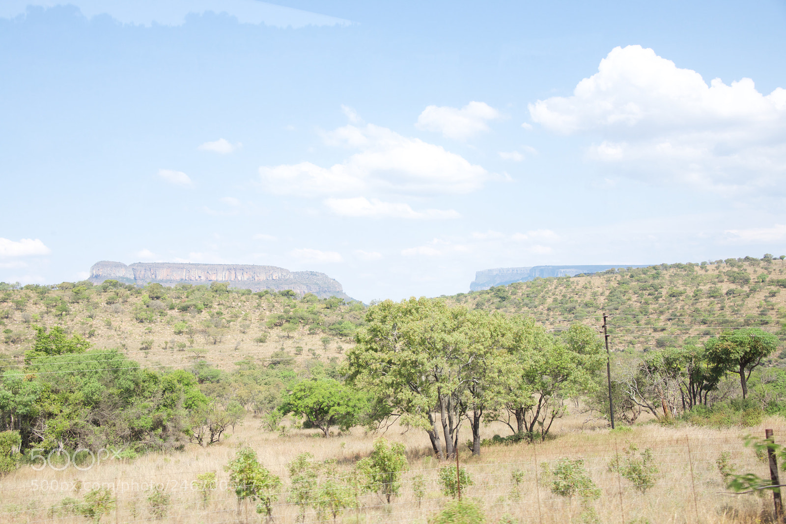 Nikon D600 sample photo. Kruger nat park photography