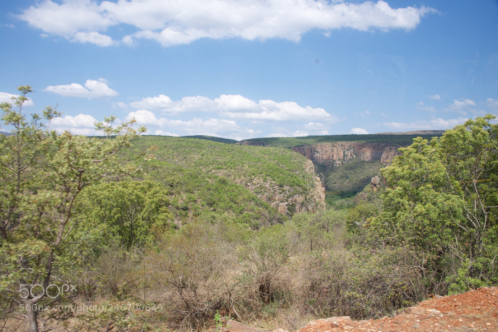 Nikon D600 sample photo. Kruger nat park photography