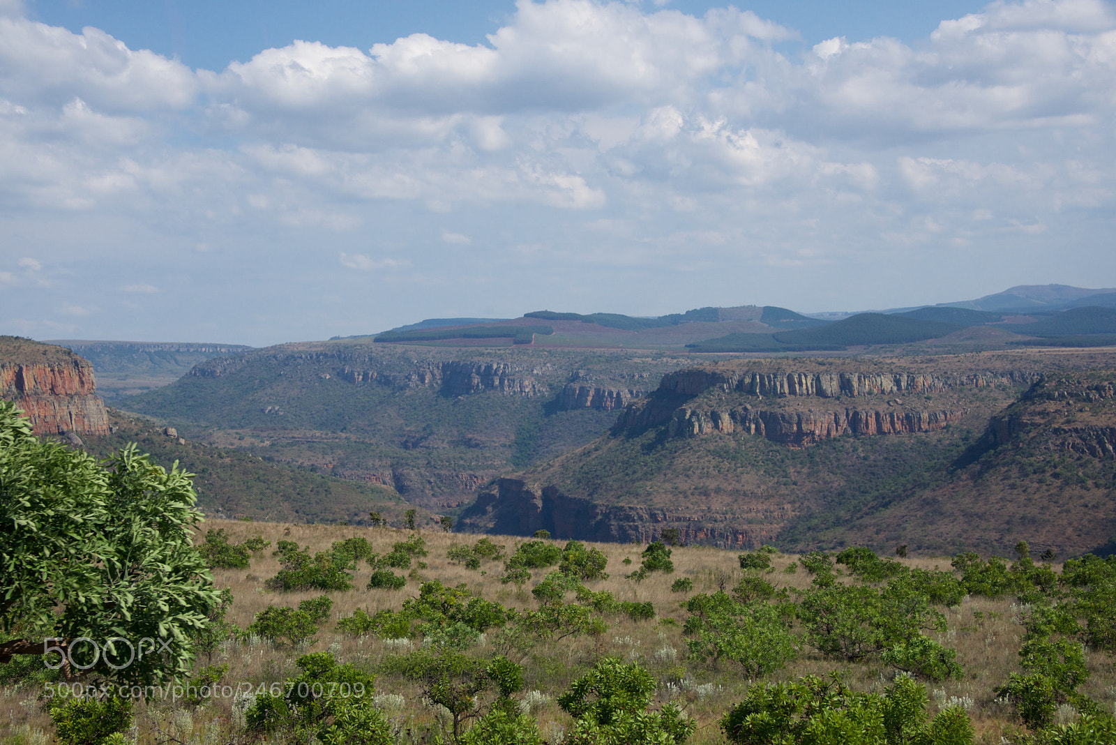 Nikon D600 sample photo. Kruger nat park photography