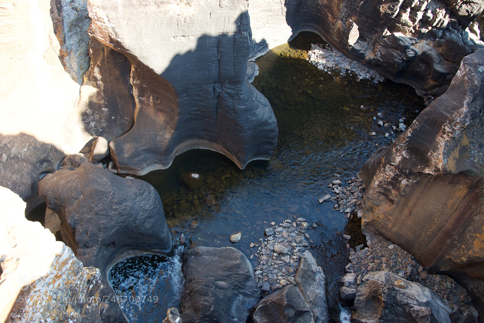 Nikon D600 sample photo. Kruger nat park photography