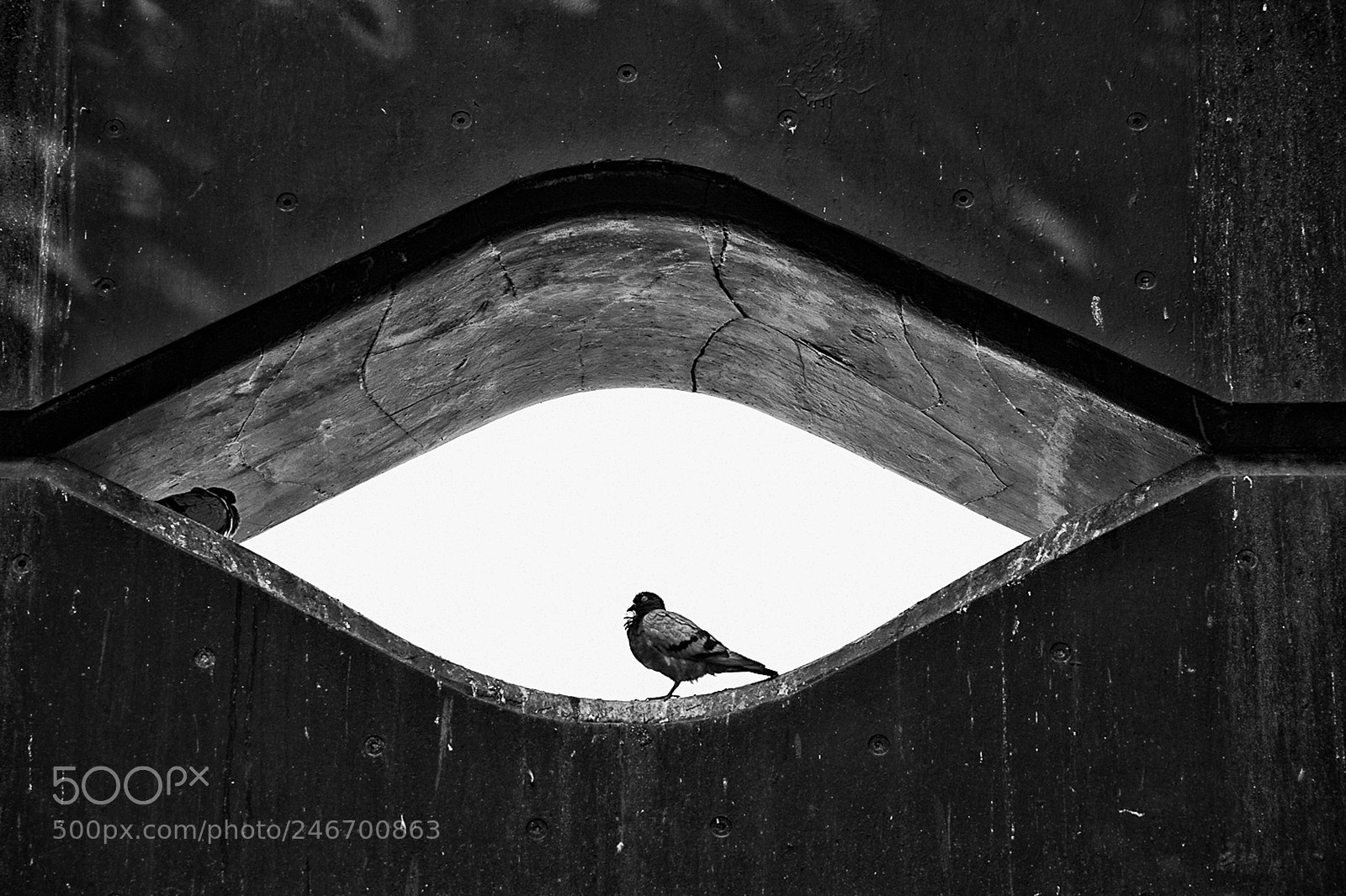 Canon EOS 7D sample photo. White eye's house photography