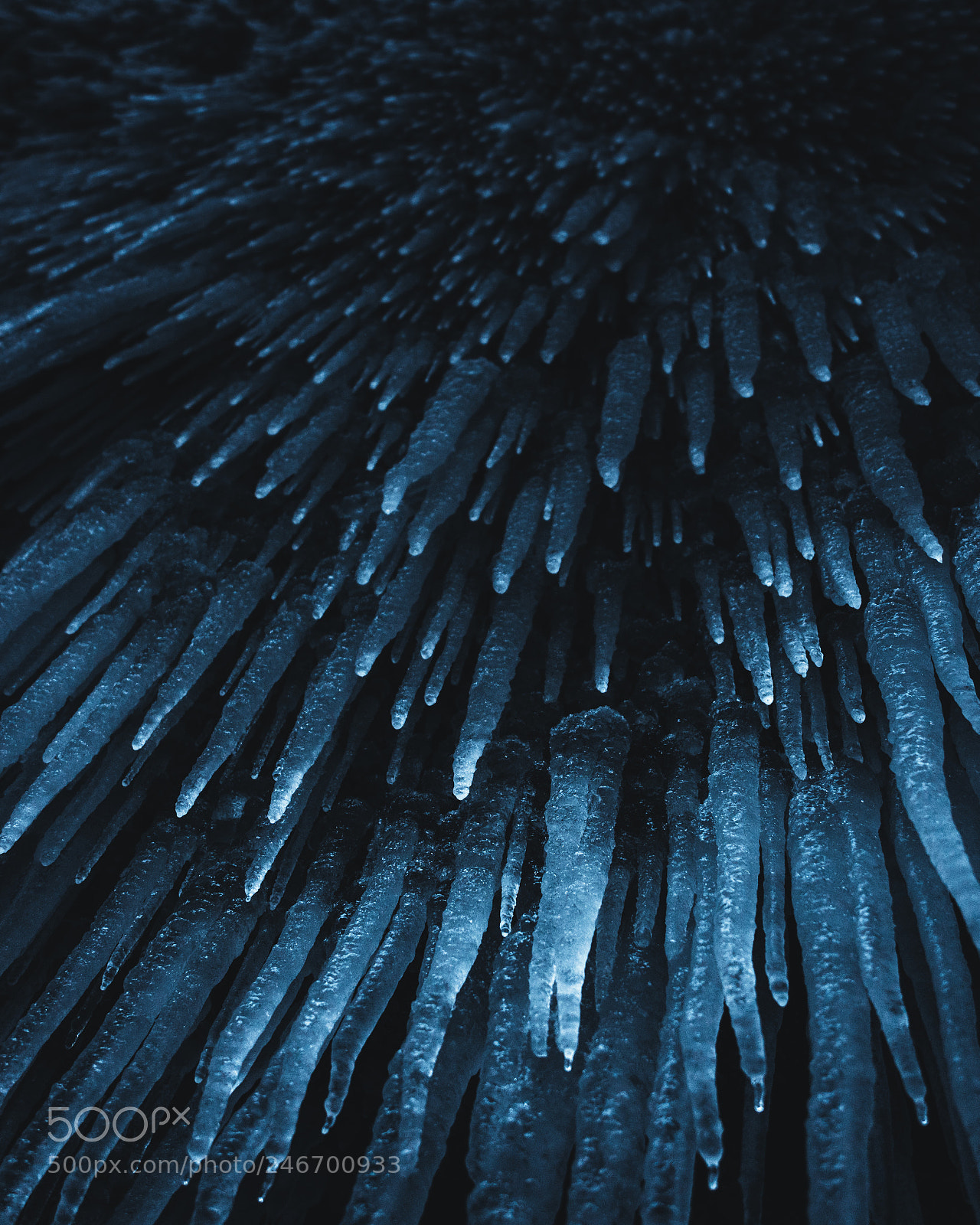 Sony a7R II sample photo. Ice cosmos. photography