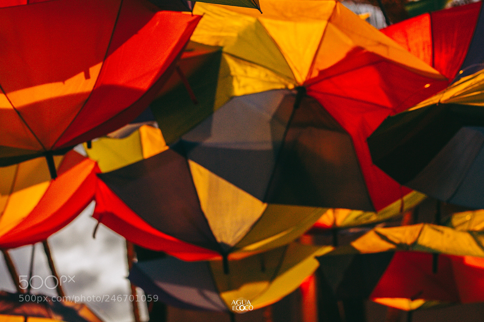 Canon EOS 7D sample photo. Festival gastronomico | aguaecoco photography