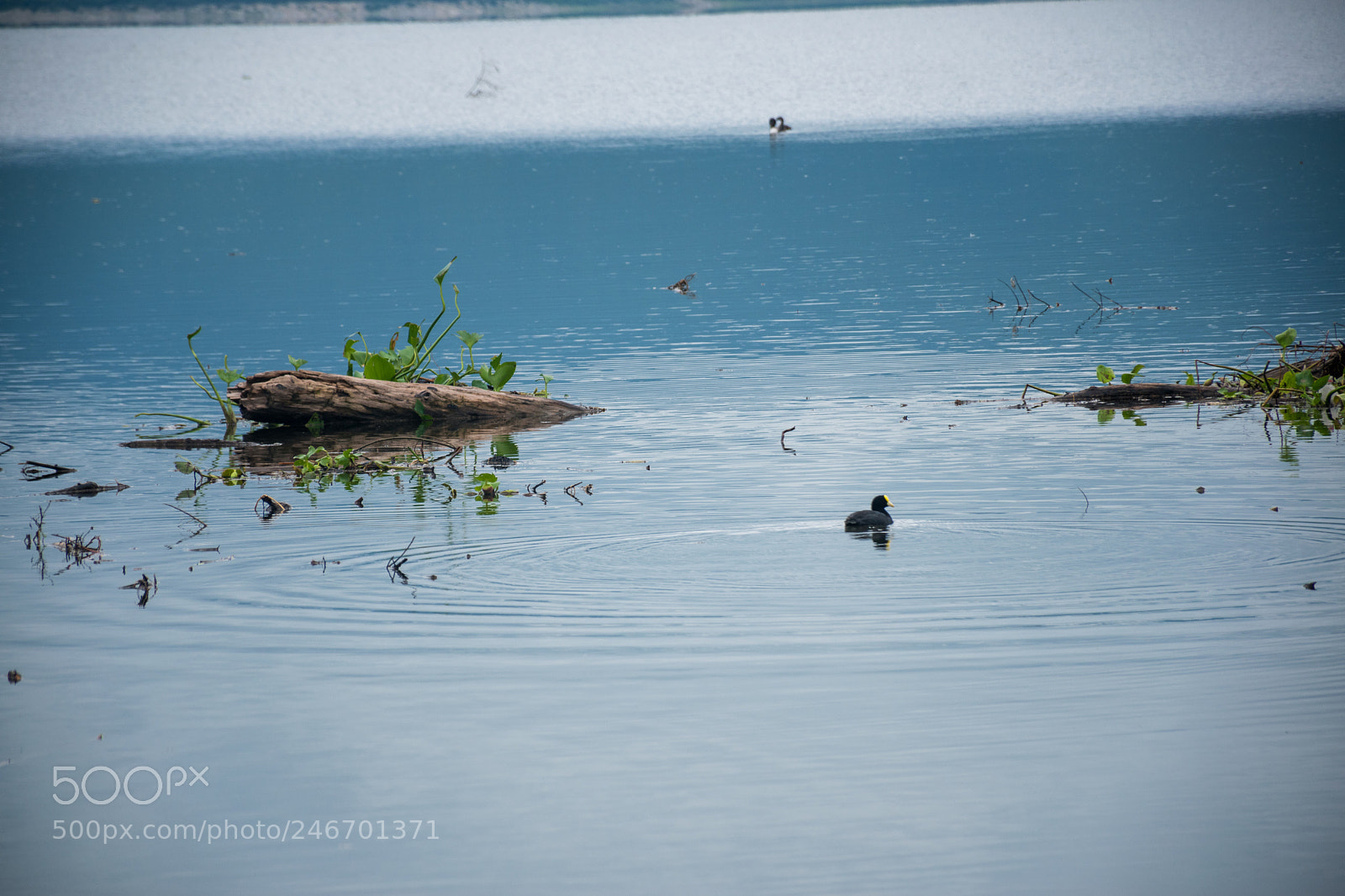 Nikon D5600 sample photo. Untitled photography