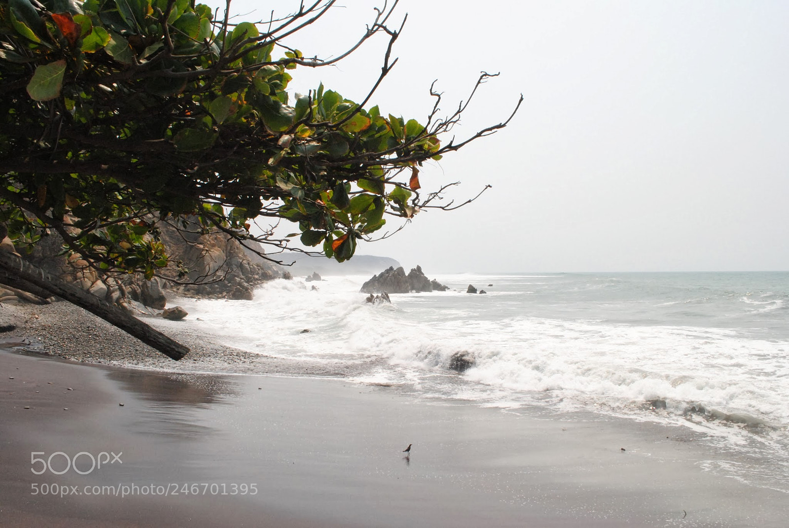 Nikon D3000 sample photo. A grey day in photography