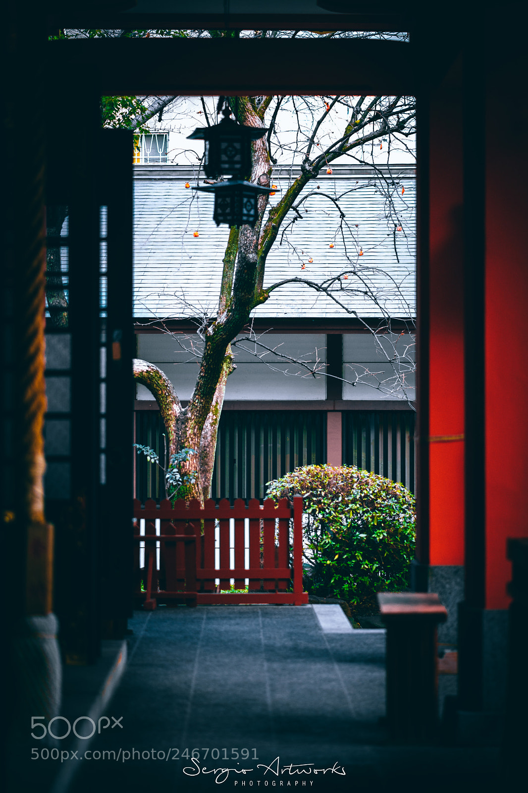 Sony a7 II sample photo. Goryo shrine, osaka photography