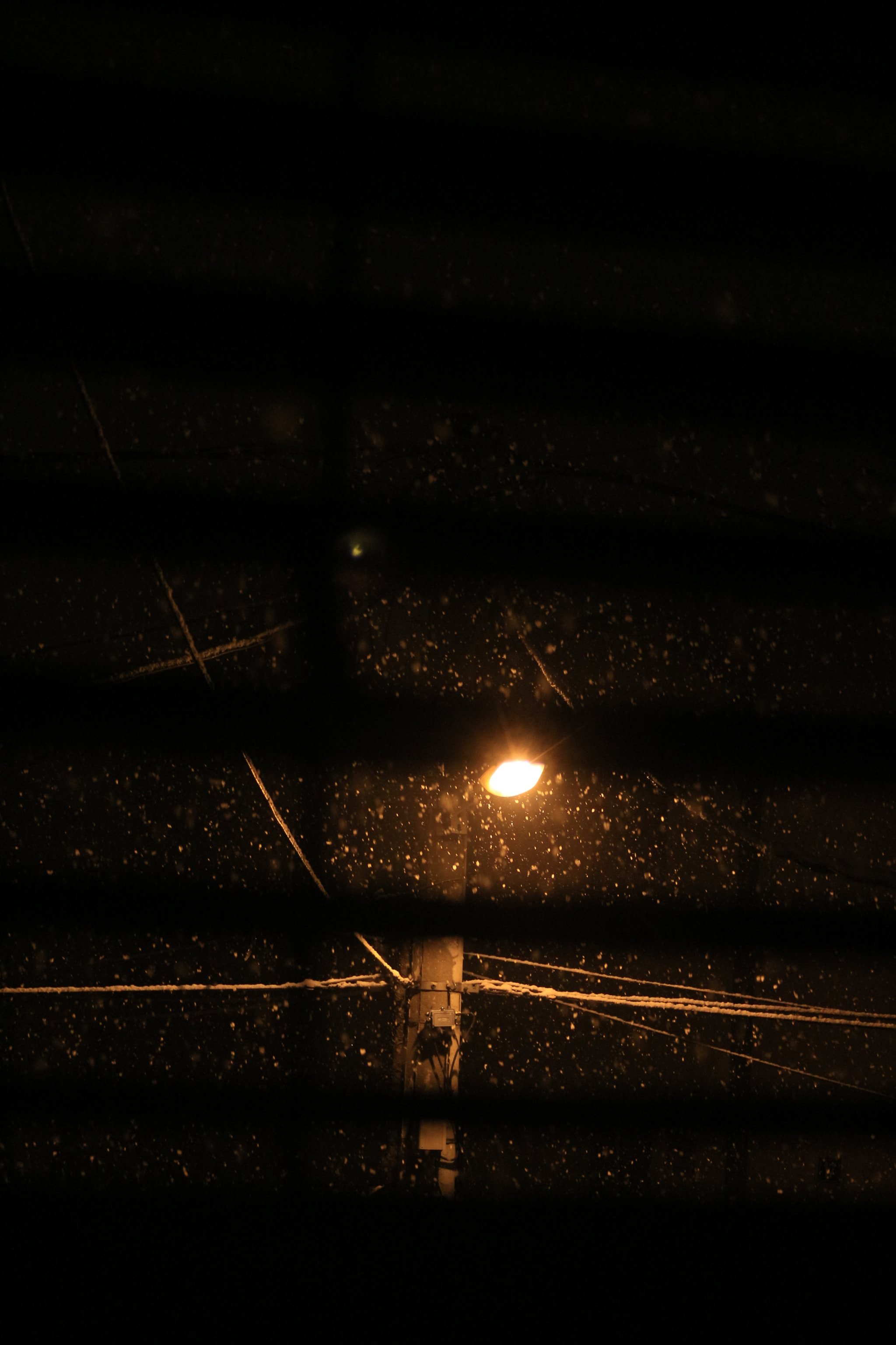 Canon EF 35-105mm f/3.5-4.5 sample photo. Img photography