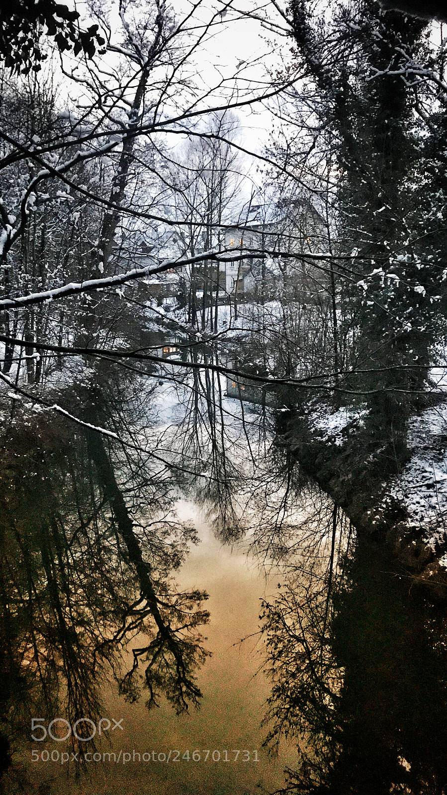 Apple iPhone 7 sample photo. Untitled photography