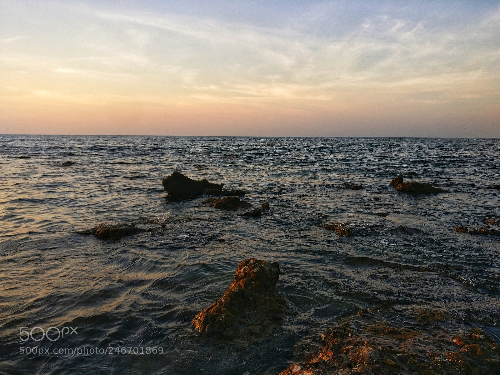 OnePlus A3003 sample photo. Peace photography