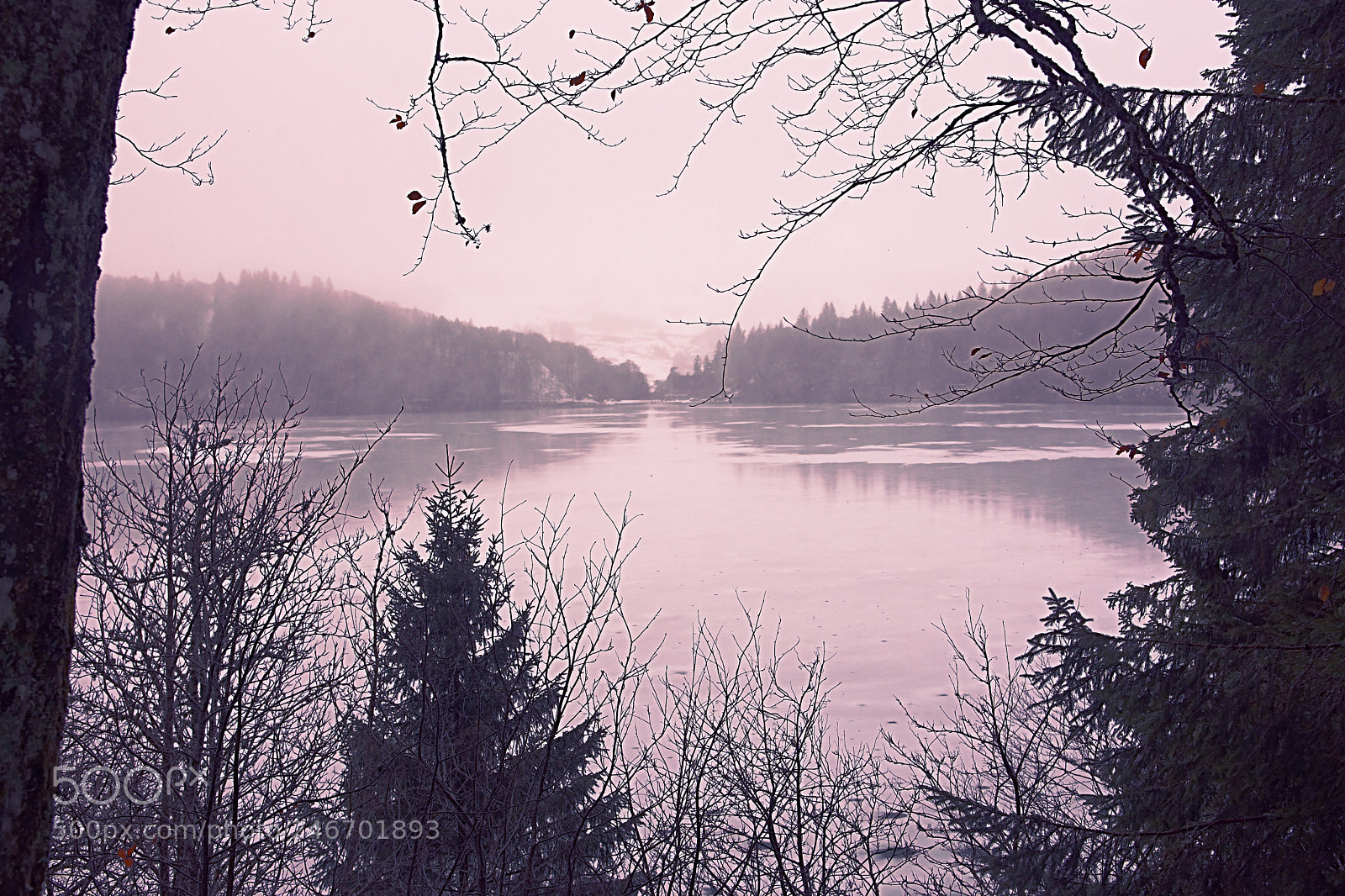 Nikon D7200 sample photo. Lac pavin under the photography