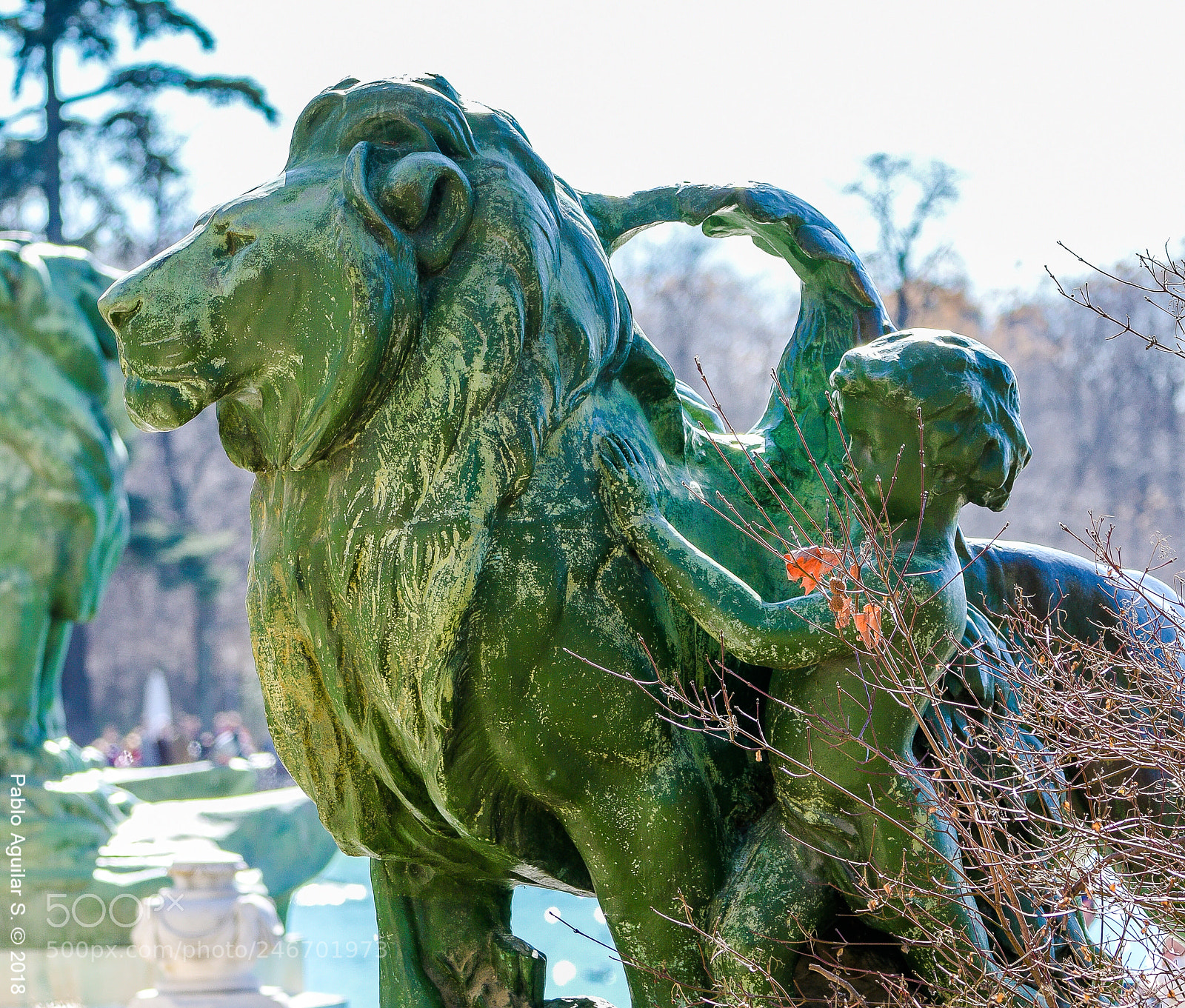 Nikon D7200 sample photo. El leon y el photography