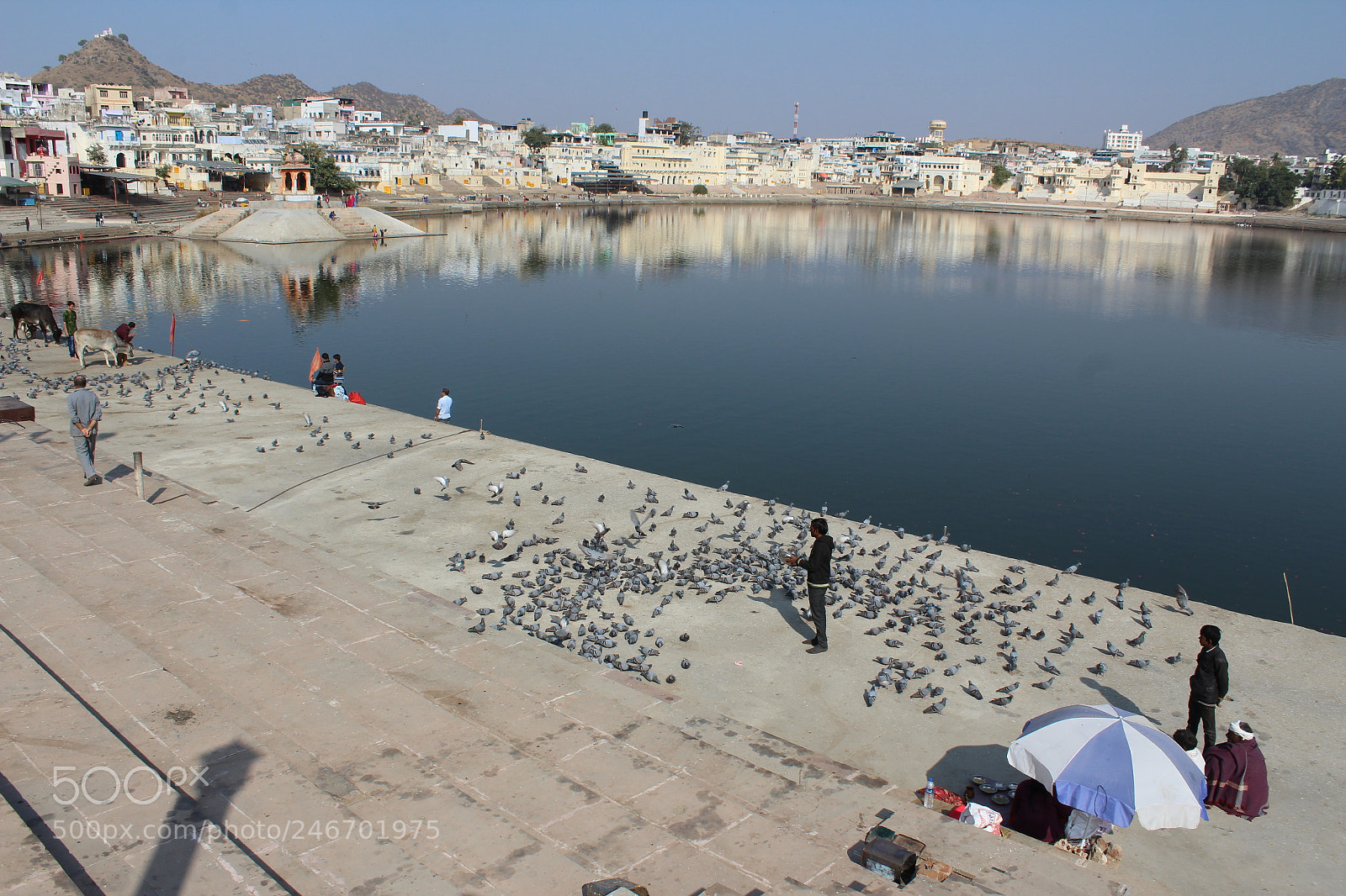 Canon EOS 1200D (EOS Rebel T5 / EOS Kiss X70 / EOS Hi) sample photo. Img photography