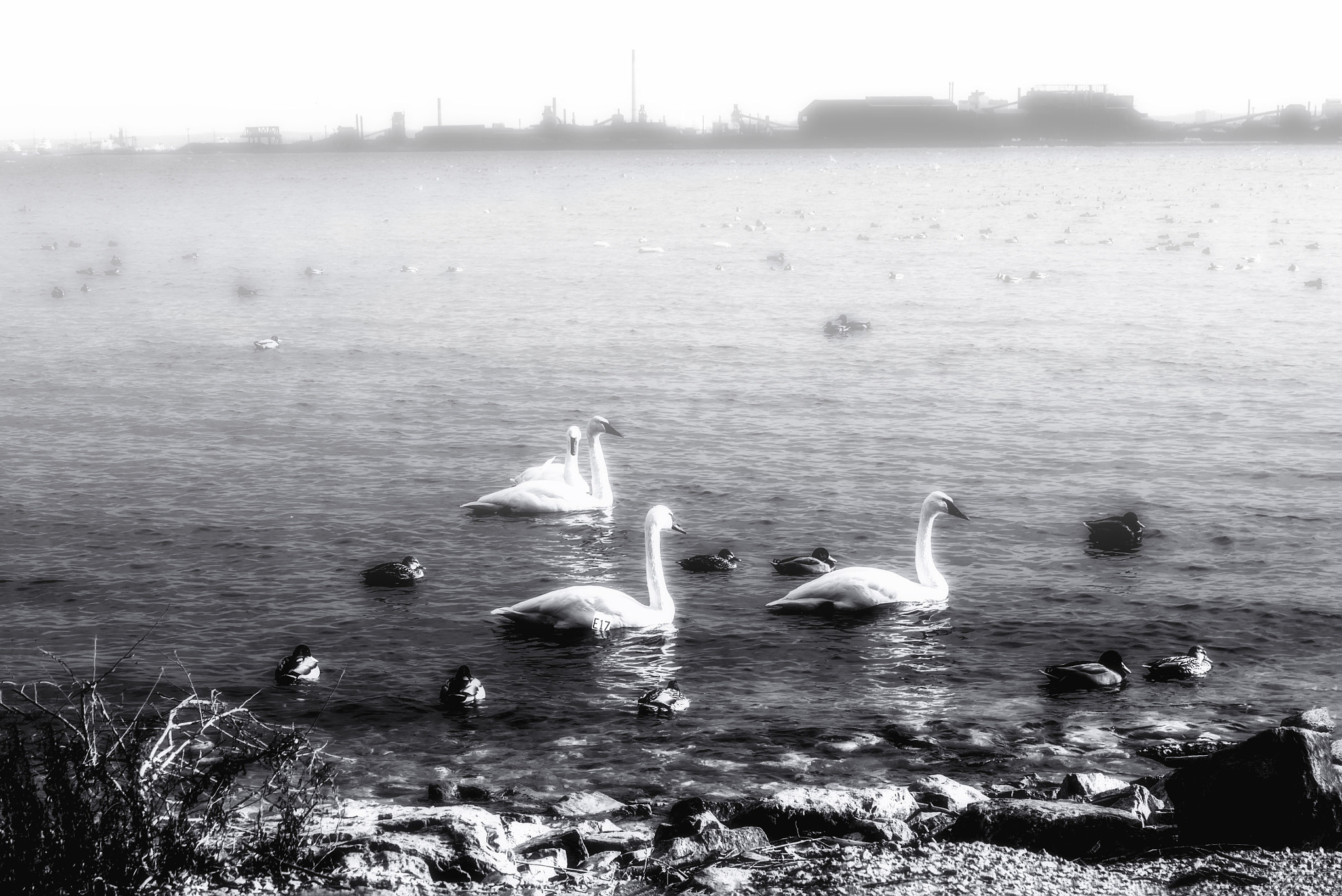 Panasonic Lumix DMC-GX1 sample photo. La salle park & marina photography