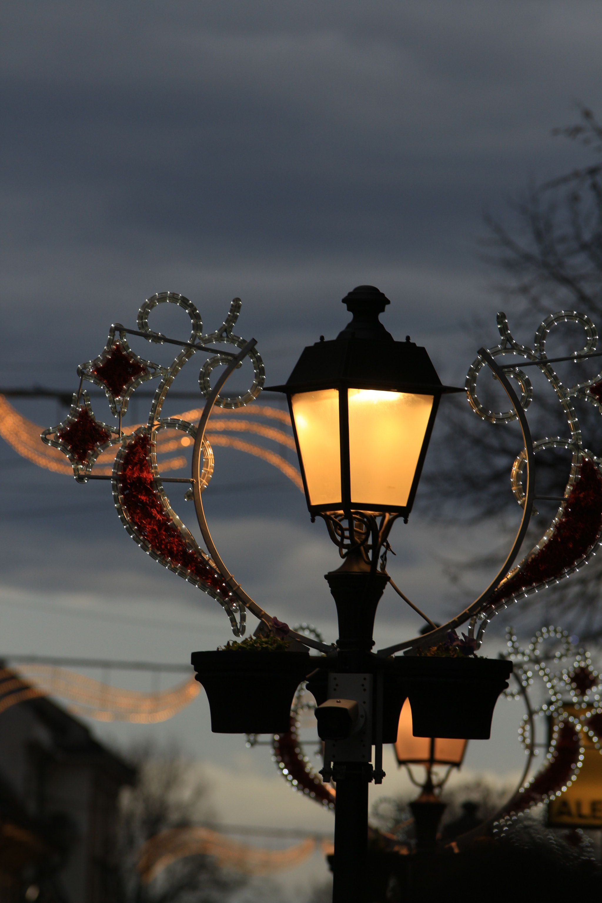 Canon EOS 700D (EOS Rebel T5i / EOS Kiss X7i) sample photo. Img photography